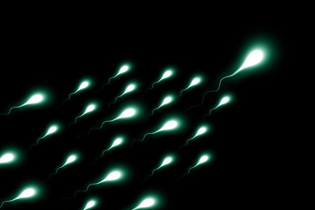 Top 10 Facts You Didnt Know About Sperm