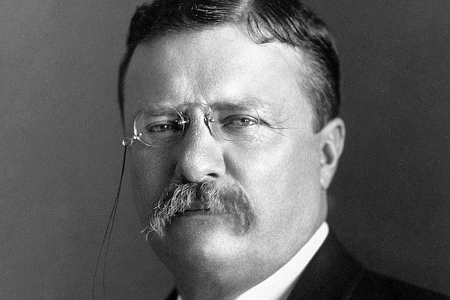 10 Reasons Teddy Roosevelt Wasn't Quite the Hero People Think - Toptenz.net